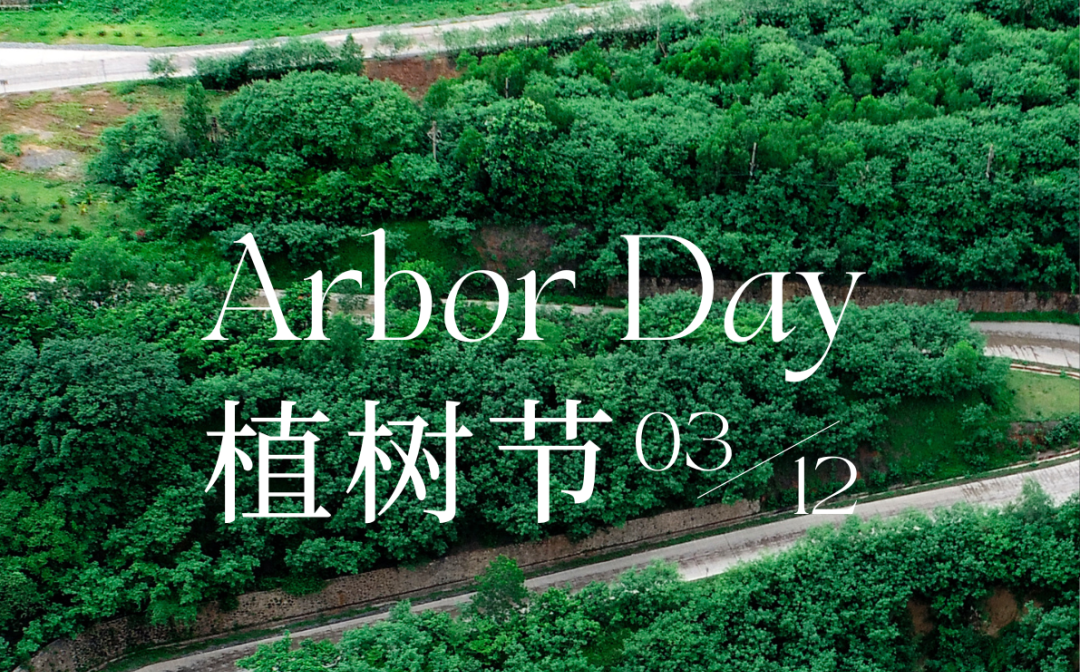 植樹(shù)節(jié) | 海南礦業(yè)的綠色畫卷